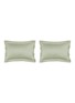 首图 –点击放大 - CELSO DE LEMOS - Bourdon Pillowcase Set of 2 — 277 Laurel/103 Ivory