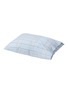 首图 –点击放大 首图 –点击放大 - WARMGREY TAIL - Cotton Pillowcase — Pale Blue