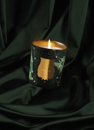 细节 –点击放大 - TRUDON - Enchanted Night Fir Sapin de Noël Scented Candle 270g