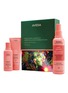 首图 -点击放大 - AVEDA - Moisture Marvels: Nutriplenish™ Hydrating Light Gift Set
