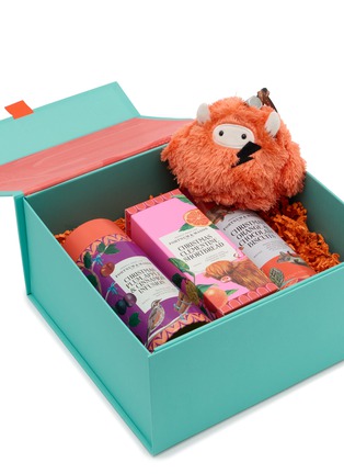 细节 –点击放大 - BAZ & FRIENDS - x Fortnum & Mason Christmas Gift Box 2025