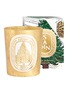 细节 –点击放大 - DIPTYQUE - Limited Edition Sapin Scented Candle 190g