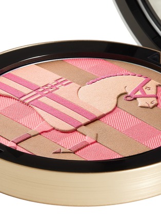 Detail View - 点击放大 - HERMÈS - Limited Edition Rocabar Silk Powder