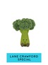首图 –点击放大 - JELLYCAT - Amuseables Broccoli