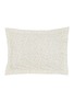 细节 –点击放大 - YVES DELORME - Gaura Pillow Case