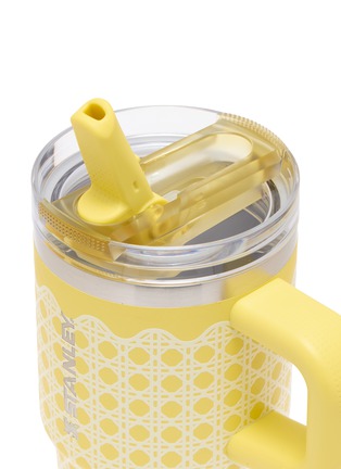 细节 –点击放大 - STANLEY - The Quencher ProTour Flip Straw Lid Tumbler 20oz — Daffodil Rattan