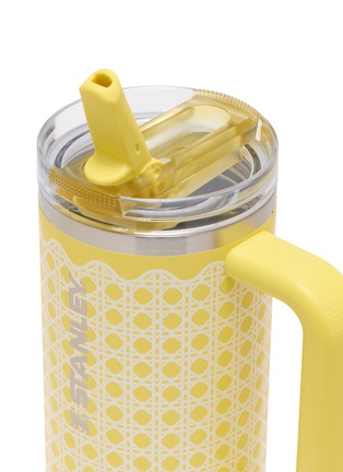 细节 –点击放大 - STANLEY - The Quencher ProTour Flip Straw Lid Tumbler 30oz — Daffodil Rattan