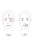 细节 -点击放大 - DR. LEVY - The Contour Pro