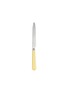 首图 –点击放大 - SABRE - Striped Garden Dinner Knife — Yellow