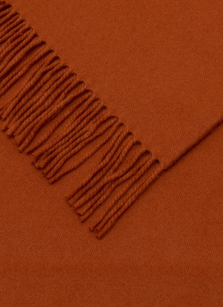 细节 –点击放大 - FRETTE - Fringed Cashmere Throw — Rust