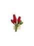 首图 –点击放大 - GUANABANA - Chili Branch Iraca Napkin Ring
