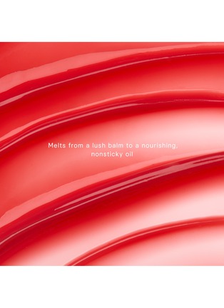 Detail View - 点击放大 - TATCHA - The Melting Lip Balm — Reddo