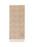 首图 - 点击放大 - LOEWE - Anagram Wool Cashmere Scarf