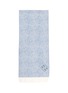 首图 - 点击放大 - LOEWE - ANAGRAM 提花围巾