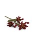 首图 –点击放大 - GRY & SIF - Nova Flower — Dark Red