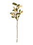 首图 –点击放大 - GRY & SIF - Lemon Felt Branch