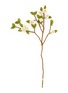 首图 –点击放大 - GRY & SIF - Apple Blossom Branch