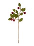 首图 –点击放大 - GRY & SIF - Apple Felt Branch — Dark Red