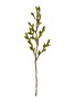 首图 –点击放大 - GRY & SIF - Green Leaves Felt Branch