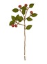 首图 –点击放大 - GRY & SIF - Apple Felt Branch — Dusty Red