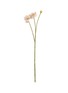 首图 –点击放大 - SILK-KA - Artificial Dahlia Spray Stem