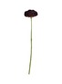 首图 –点击放大 - SILK-KA - Artificial Ranunculus Stem