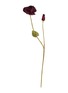 首图 –点击放大 - SILK-KA - Artificial Poppy Spray Stem