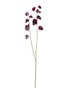 首图 –点击放大 - SILK-KA - Artificial Lathyrus Spray Stem