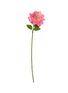 首图 –点击放大 - SILK-KA - Artificial Rose Stem