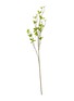首图 –点击放大 - SILK-KA - Artificial Bucida Spray Stem