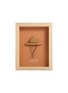 首图 –点击放大 - STUDIO AMMÓ - in The Shade Framed Art — Terracotta