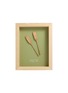 首图 –点击放大 - STUDIO AMMÓ - The Current Framed Art — Sage Green