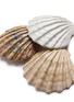 细节 –点击放大 - BATELA - Scallop Shell Bowl — Set of 3