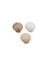 首图 –点击放大 - BATELA - Scallop Shell Bowl — Set of 3