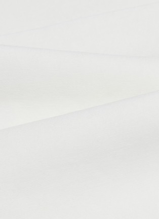 Detail View - 点击放大 - LANE CRAWFORD - Ultra Soft Facial Towel