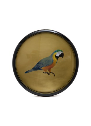 细节 –点击放大 - PLUMERIA HOME - Parrot Illustration Polished Brass Tray