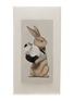 首图 –点击放大 - SPEXTRUM - TISSUE UP 纸巾盒 — TALE WONDER RABBIT