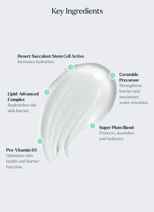 细节 -点击放大 - SKIN ROCKS - The Light Moisturiser 50ml