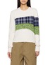 首图 - 点击放大 - LOEWE - X Cosima von Bonin Floral Check Panel Wool Sweater