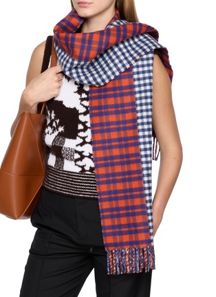 模特儿示范图 - 点击放大 - LOEWE - X Cosima Von Bonin Wool Cashmere Scarf
