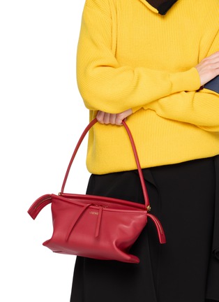 正面 -点击放大 - LOEWE - Small Whisker Leather Bag