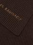 细节 - 点击放大 - RUSLAN BAGINSKY - Embroidered Merino Wool Scarf