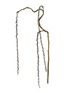 首图 –点击放大 - SHISHI - Hanging Crystal Branch 