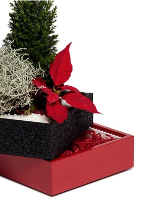 细节 –点击放大 - THE STALK ROOM - Poinsettia large bento box planter set