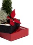 细节 –点击放大 - THE STALK ROOM - Poinsettia large bento box planter set