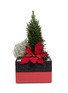 首图 –点击放大 - THE STALK ROOM - Poinsettia large bento box planter set