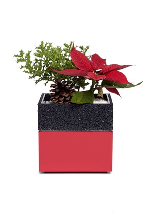 首图 –点击放大 - THE STALK ROOM - Poinsettia small bento box planter set