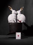  - L'OBJET - Lapin兔子雕塑－中