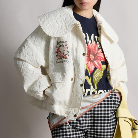 女士